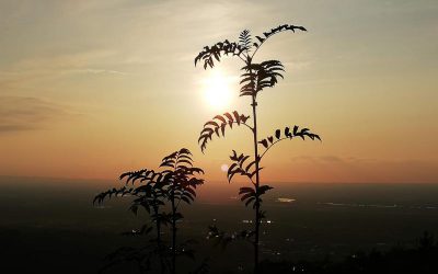 Herbst-Tag-und-Nachtgleiche